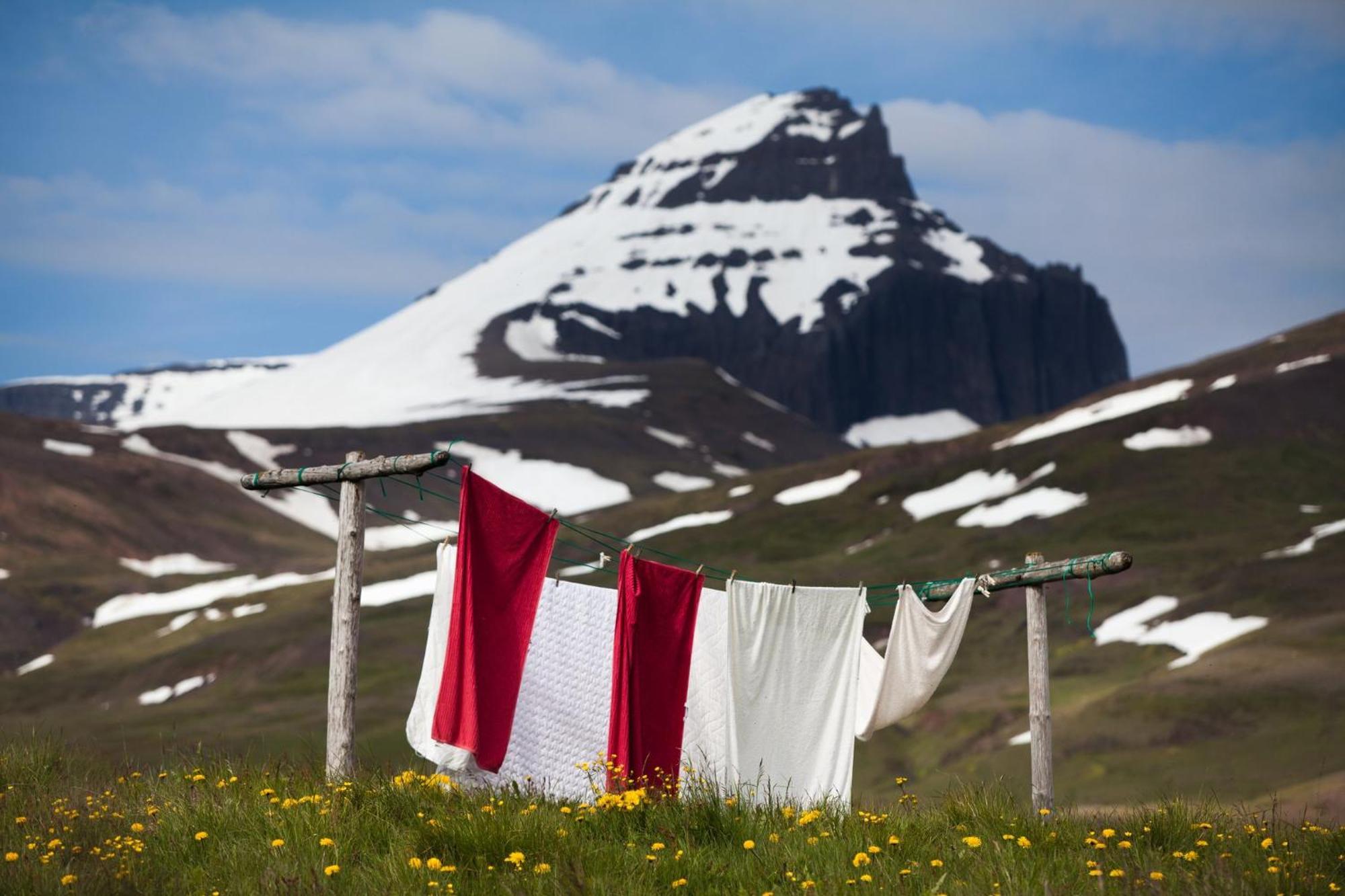 Alfheimar Hotel Borgarfjordur Eystri Exteriör bild