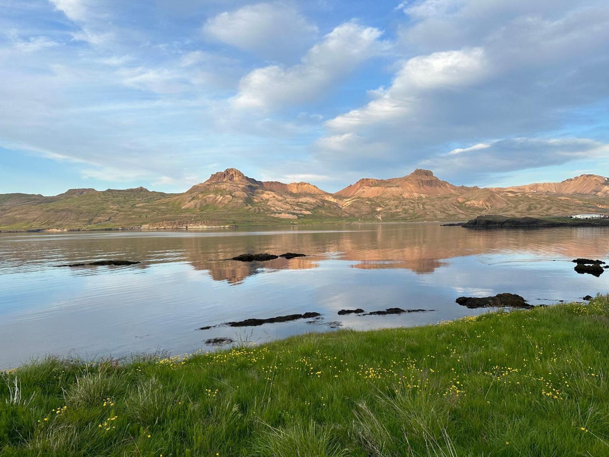 Alfheimar Hotel Borgarfjordur Eystri Exteriör bild
