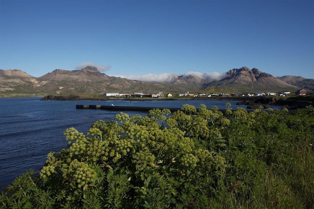 Alfheimar Hotel Borgarfjordur Eystri Exteriör bild
