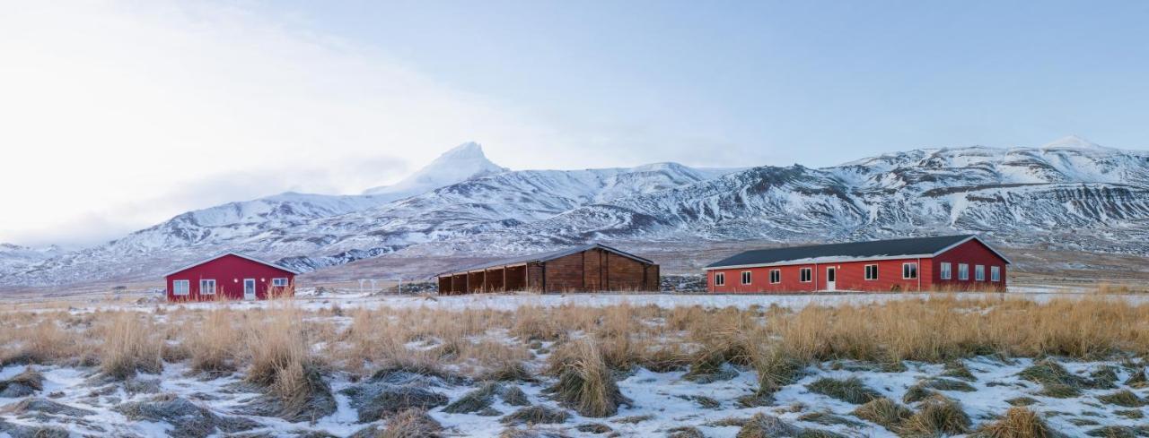 Alfheimar Hotel Borgarfjordur Eystri Exteriör bild